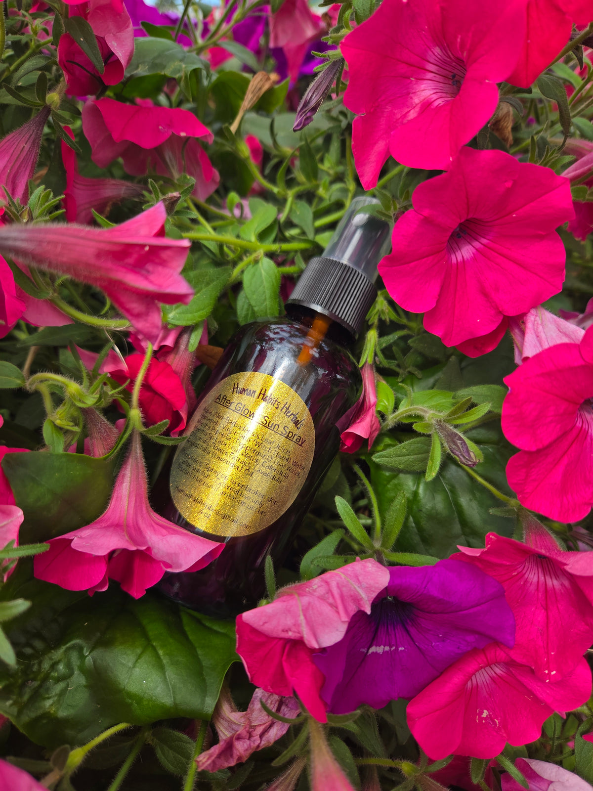 Human Habits Herbals After Glow Sun Spray